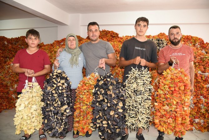 Nazilli’den Dünyaya Doğal Lezzet: Kurutulmuş Patlıcan