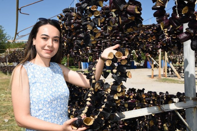 Nazilli’den Dünyaya Doğal Lezzet: Kurutulmuş Patlıcan