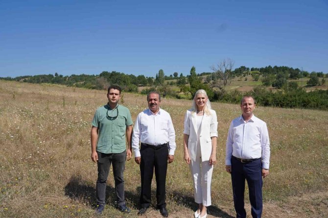 Bilecik’te Belediyeye Ait Tarım Arazilerinde Ata Tohumları Ekilip Biçilecek