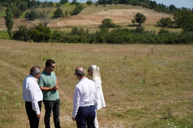 Bilecik’te Belediyeye Ait Tarım Arazilerinde Ata Tohumları Ekilip Biçilecek