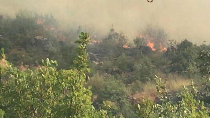 Burdur’da Orman Yangını