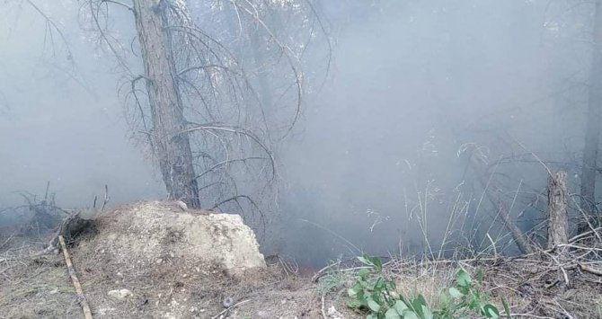 Burdur’da Orman Yangını