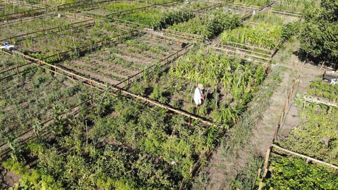Üniversite Personeli Ekolojik Bahçelerde Doğa İle Bütünleşiyor