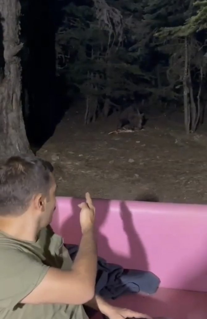 Uludağ’da Bahçesine Gelen Ayıyla Konuştu, O Anlar Kameralarda