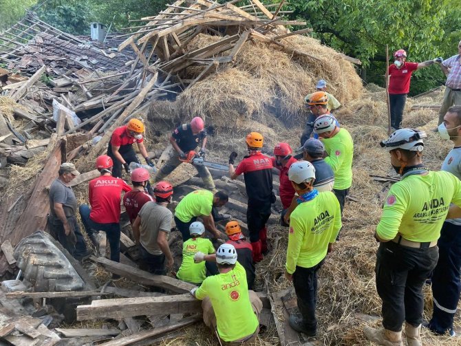 Bursa’da Ahır Yıkıldı, 5 Büyükbaş Hayvan Telef Oldu
