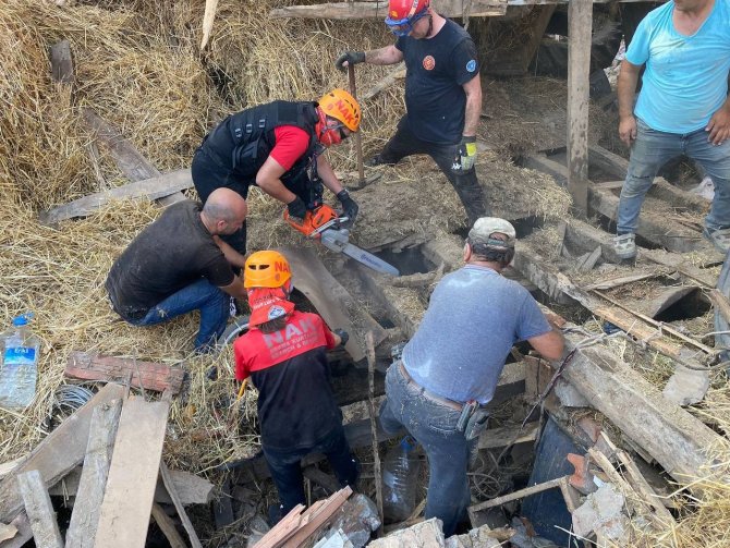 Bursa’da Ahır Yıkıldı, 5 Büyükbaş Hayvan Telef Oldu