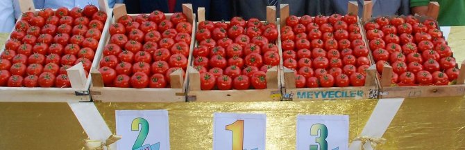 Çameli’nde ’En İyi Domates’ Yarışması Düzenlenecek