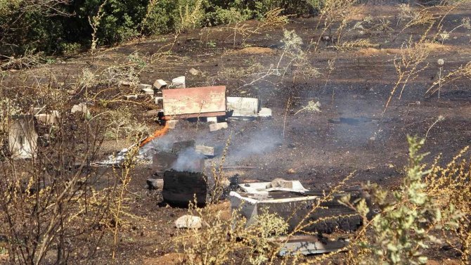 Örtü Yangınında Arı Kovanları Ve Ağaçlar Küle Döndü