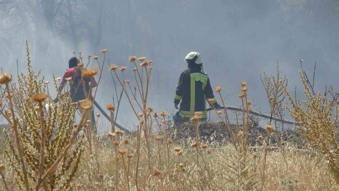 Örtü Yangınında Arı Kovanları Ve Ağaçlar Küle Döndü