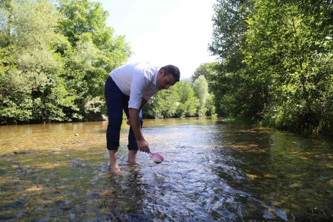Gümüşhane’de 5 Bin Yavru Alabalık Derelere Bırakıldı