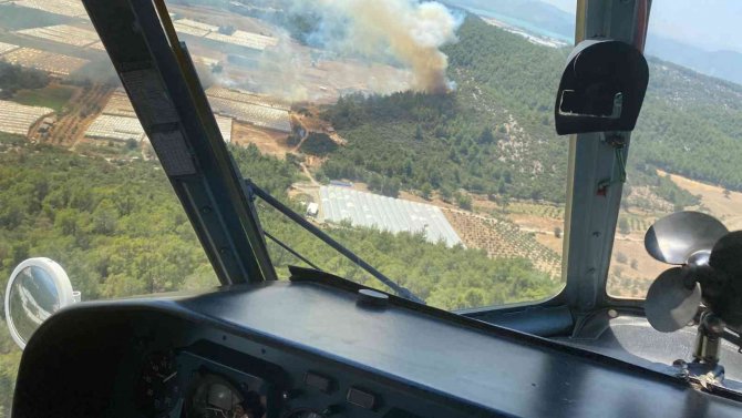 İ̇zmir’de Sera Yangını