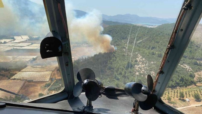 İ̇zmir’de Sera Yangını