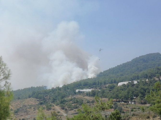 Mersin’de Orman Yangınına 2 Uçak Ve 5 Helikopterle Müdahale Ediliyor