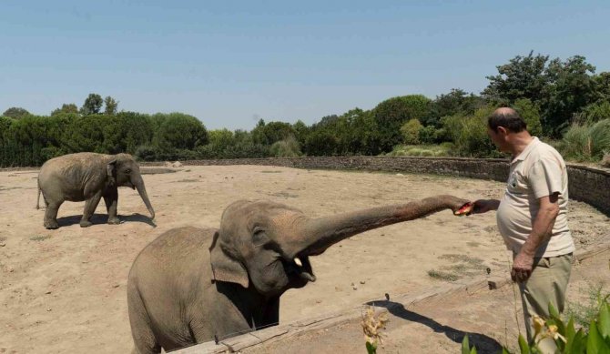 Doğal Yaşam Parkı’nda İştah Açan Buzlu Menü