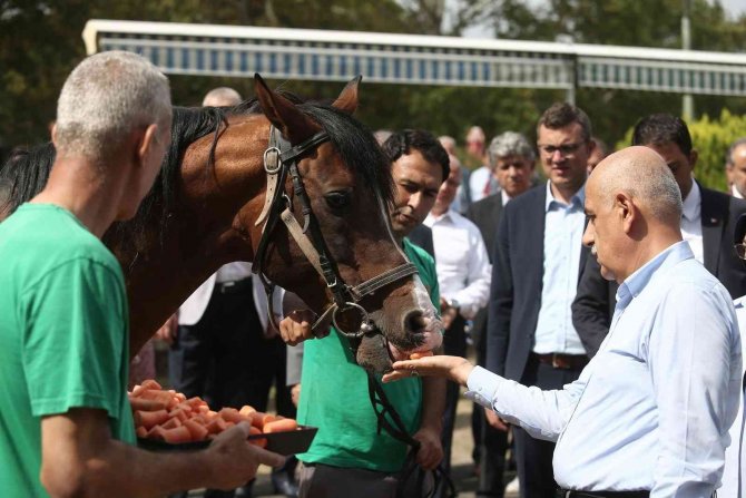 Tarım Ve Orman Bakanı Vahit Kirişci: “Cumhurbaşkanımızın Duruşu İle Tahıl Krizi Sorunu Çözüldü”