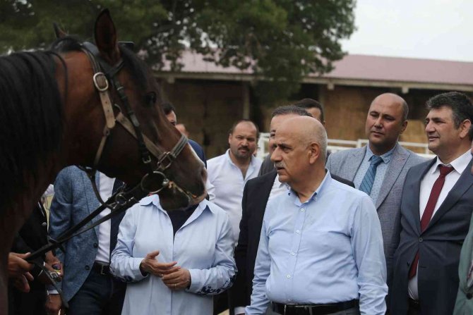 Tarım Ve Orman Bakanı Vahit Kirişci: “Cumhurbaşkanımızın Duruşu İle Tahıl Krizi Sorunu Çözüldü”
