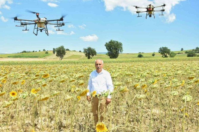 Yenişehir’de Çayır Tırtılı Zararlısına Anında Müdahale İle Ekonomiye 300 Milyon Tl Kazandırıldı