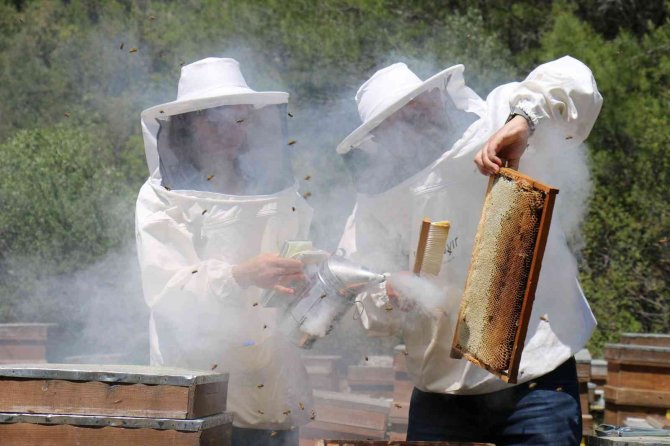 Şifa Kaynağı “Oğul Balı”