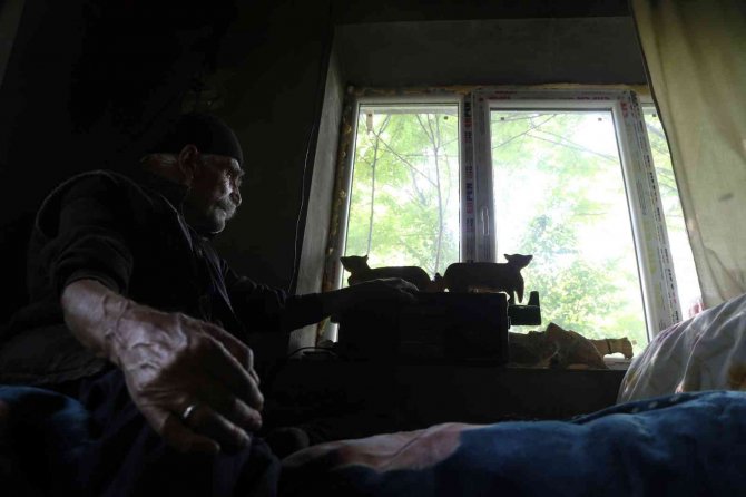 Görmeyen Gözleriyle Binlerce Fidan Yetiştirdi