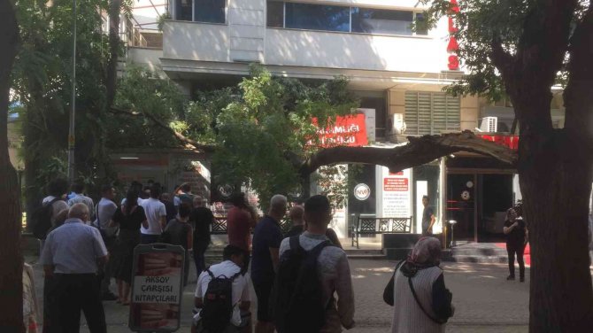 Ağaç Dalının Devrilme Anı Güvenlik Kameralarına Yansıdı