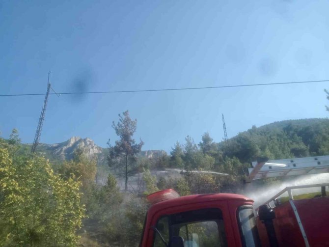 Bilecik’te 6 Dönüm Ormanlık Alan Kül Oldu