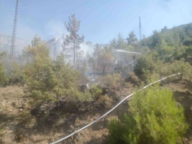 Bilecik’te 6 Dönüm Ormanlık Alan Kül Oldu