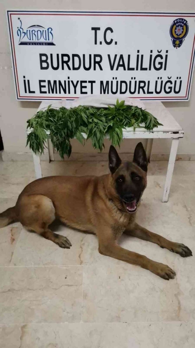 Burdur’da Uyuşturucu Operasyonları: 14 Şahıs Hakkında İşlem Yapıldı