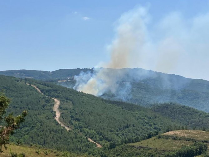 Biga’da Orman Yangını