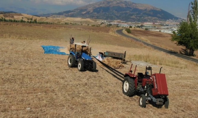 Çiftçilerin Zorlu Hasat Telaşı