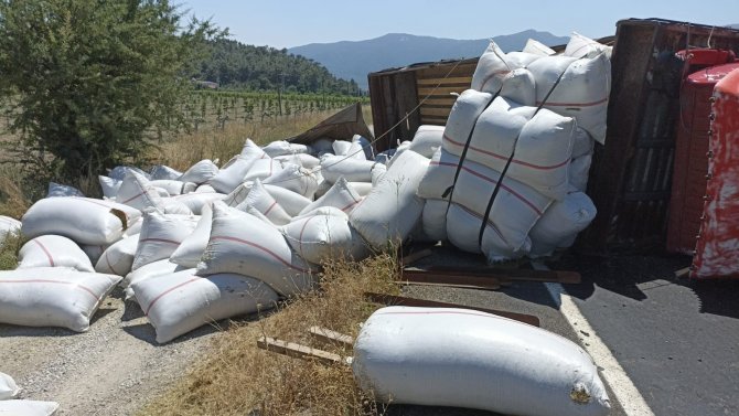 Tonlarca Kekik Devrilen Kamyondan Yola Saçıldı