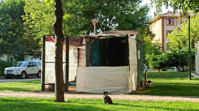 Hayvanseverlerden ‘Çiğ Et’ Uyarısı