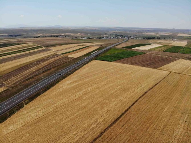 Kars’ta Tarlalardan Bereket Fışkırdı