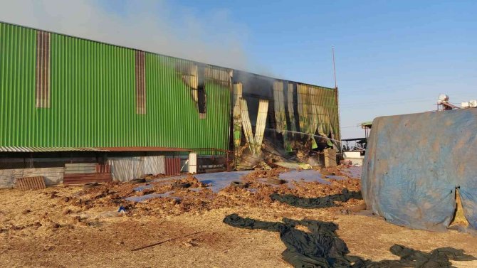 Hatay’da Çiftlikteki Yangında Samanlar Kül Oldu
