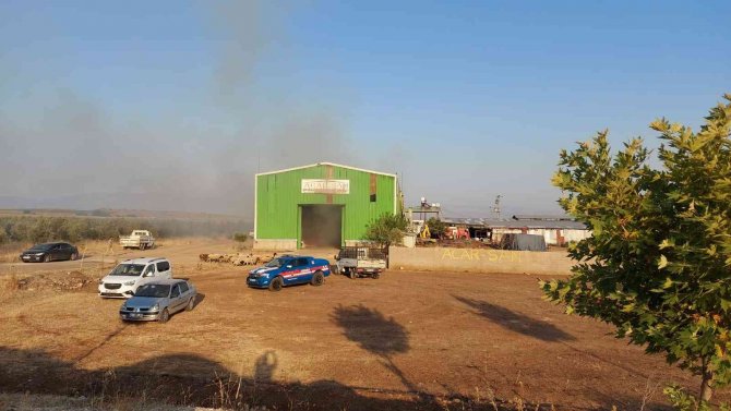 Hatay’da Çiftlikteki Yangında Samanlar Kül Oldu