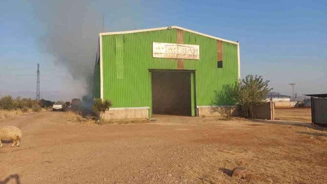 Hatay’da Çiftlikteki Yangında Samanlar Kül Oldu