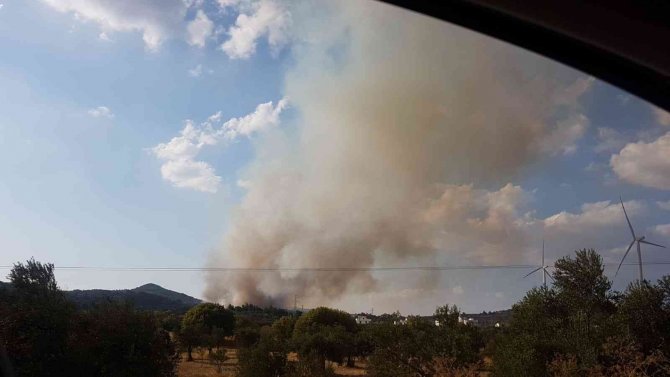 İ̇zmir’de Ziraat Arazisinde Yangın