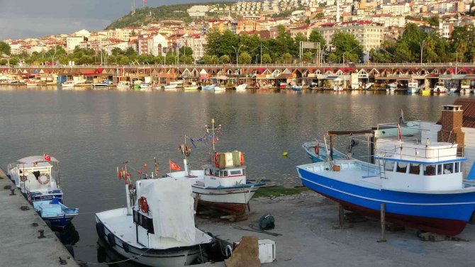Yeni Av Sezon Öncesinde Palamudun Görüntü Vermesi Balıkçıları Umutlandırdı