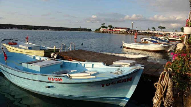 Yeni Av Sezon Öncesinde Palamudun Görüntü Vermesi Balıkçıları Umutlandırdı