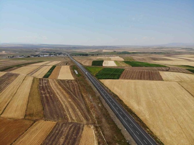 Kars’ta Tarlalardan Bereket Fışkırdı
