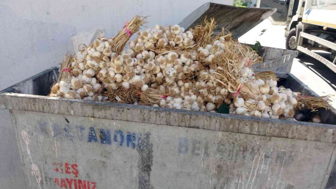 Kilolarca Taşköprü Sarımsağını Çöp Konteynerine Attılar