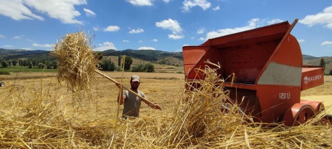 Kışlık Yem Hazırlıkları Hızlandı