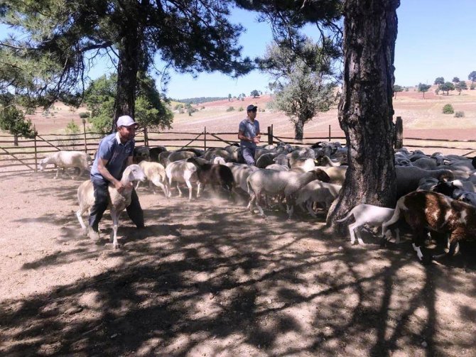 Kütahya’da "Köyümde Yaşamak İ̇çin Bir Sürü Nedenim Var" Projesi