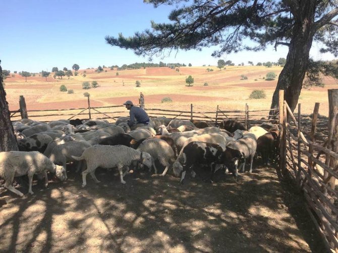 Kütahya’da "Köyümde Yaşamak İ̇çin Bir Sürü Nedenim Var" Projesi