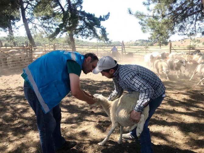 Kütahya’da "Köyümde Yaşamak İ̇çin Bir Sürü Nedenim Var" Projesi