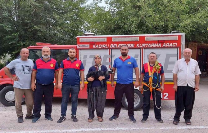 Kayalıklarda Mahsur Kalan Keçi Yavrusu Kurtarıldı