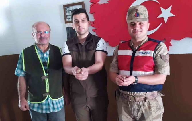 Siirt’te Kaçak Avcıya Para Cezası