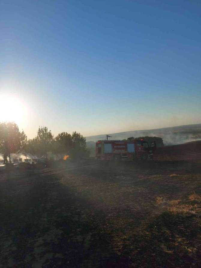 Tekirdağ’da Binlerce Arı Diri Diri Yandı: 15 Yıllık Emek Kül Oldu