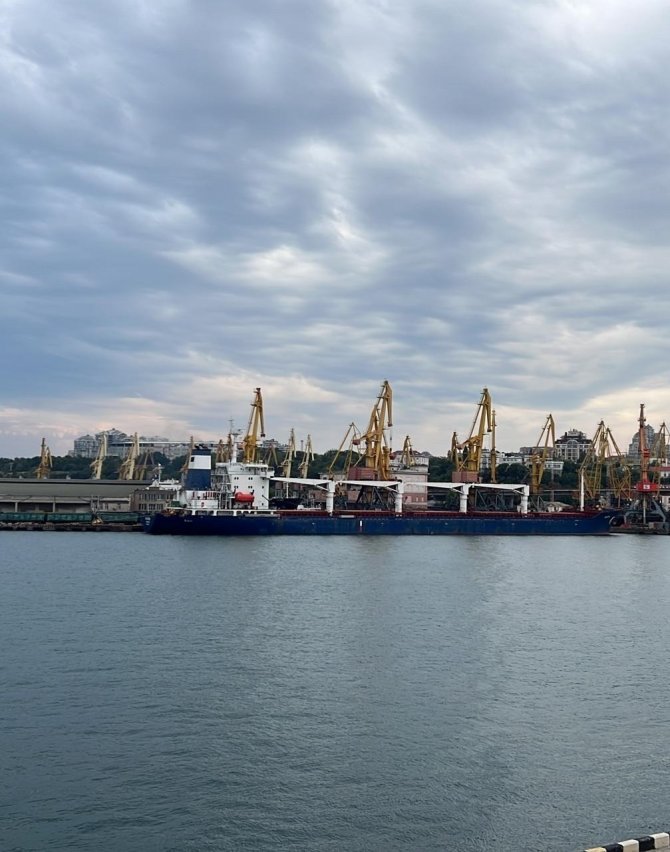 Ukrayna Tahılını Taşıyan İlk Gemi Yola Çıktı