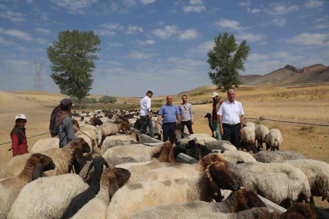 Tuşba Belediyesinden Kırsal Mahallelere Sıvat Desteği