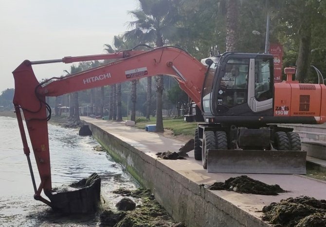 Yalova Belediyesi’nin Yosunla Mücadelesi Devam Ediyor